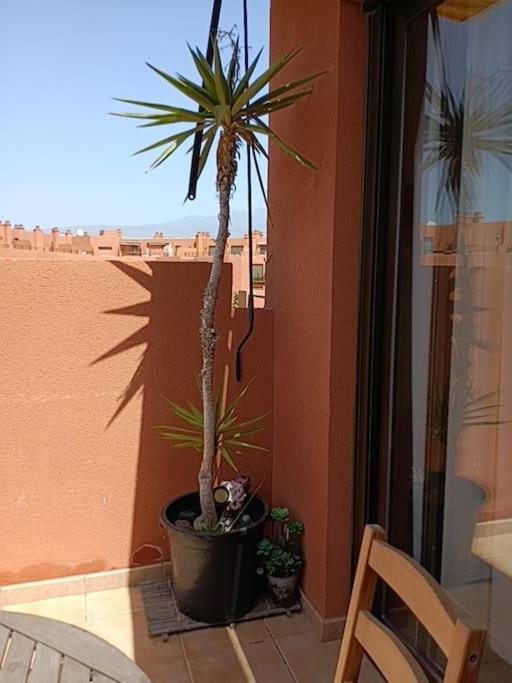 אל מדאנו Apartamento Con Vistas מראה חיצוני תמונה